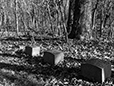 At Rest 5